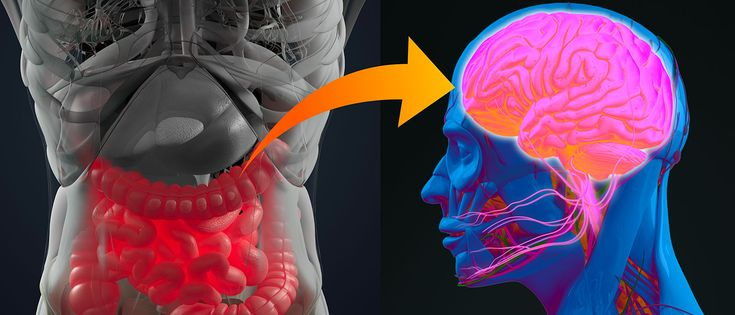 Как кишечник управляет нашими эмоциями и почему депрессия может жить не в голове