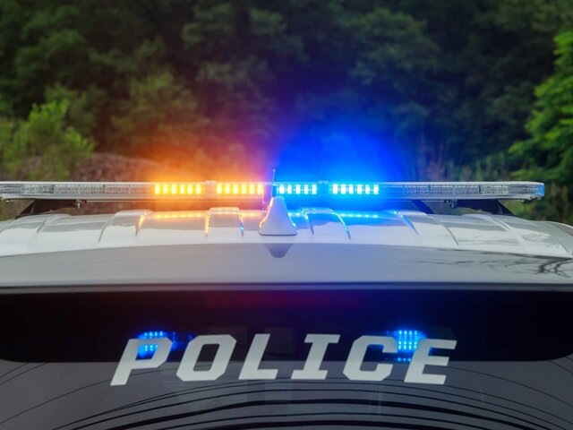    Фото: 123RF.com/photovs