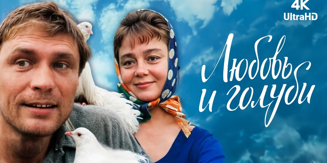 Скрытый смысл фильма «Любовь и голуби»: Почему фраза из телевизора заставляет плакать даже спустя 40 лет?