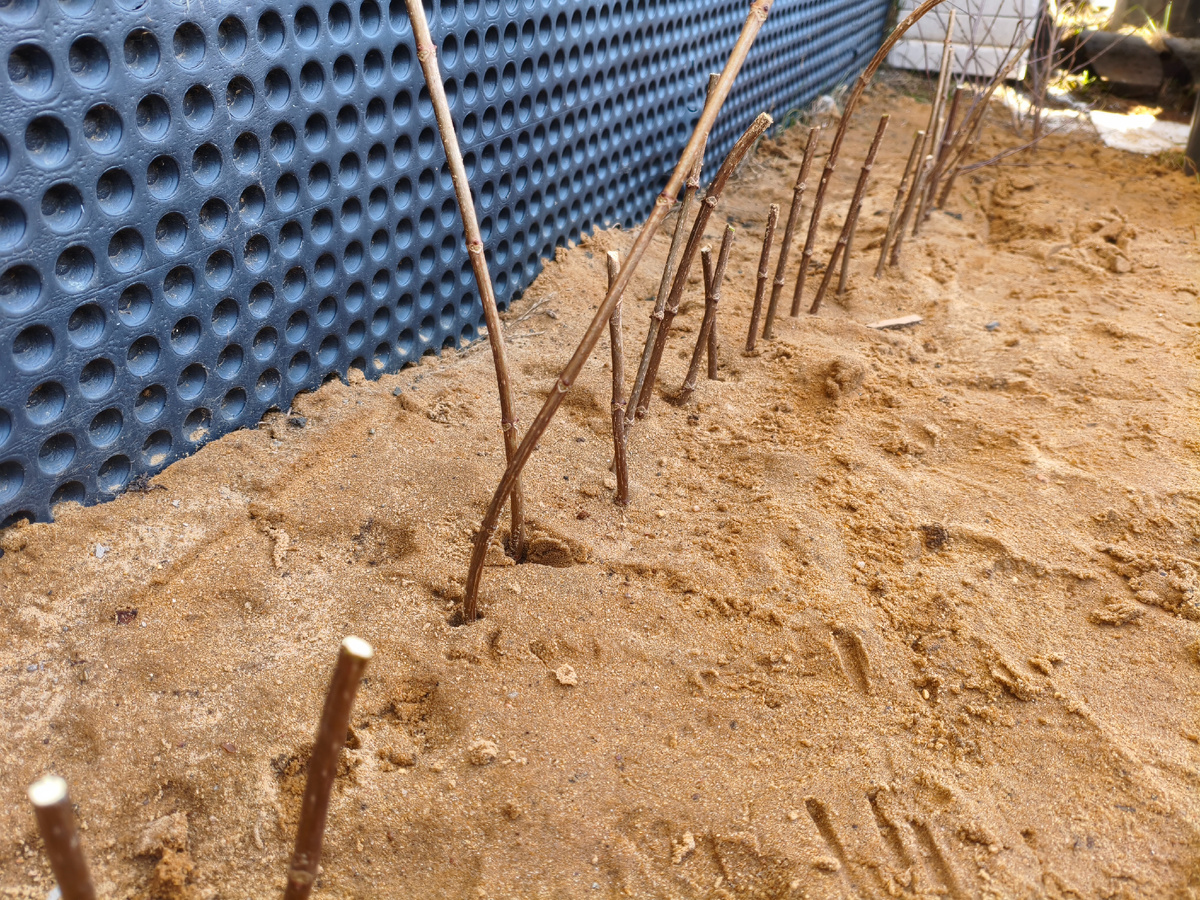 Автор произведения Вера Шумилова. 