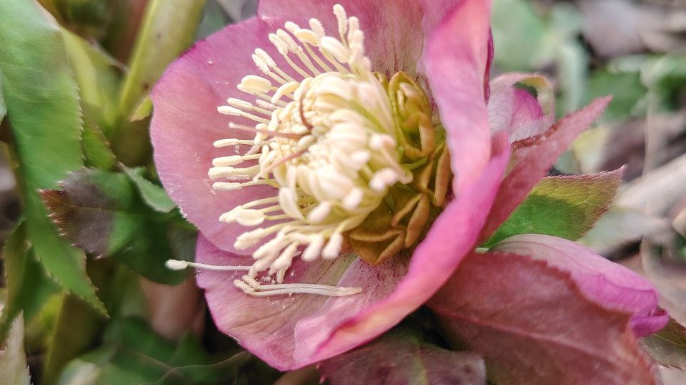 С добрым утром, красавицы