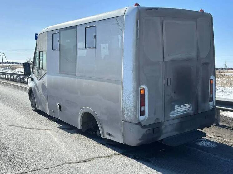     Фото: пресс-служба УМВД России по Омской области