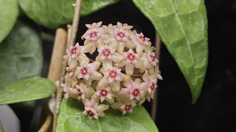 Мне в этой жизни уже все понятно