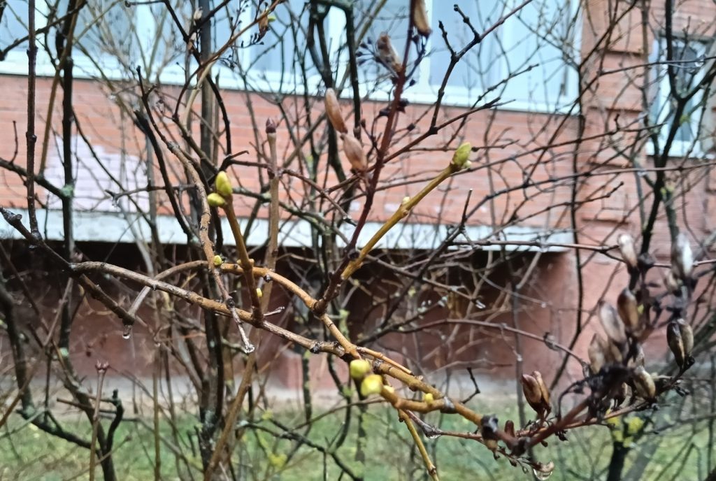    Анастасия Петрова