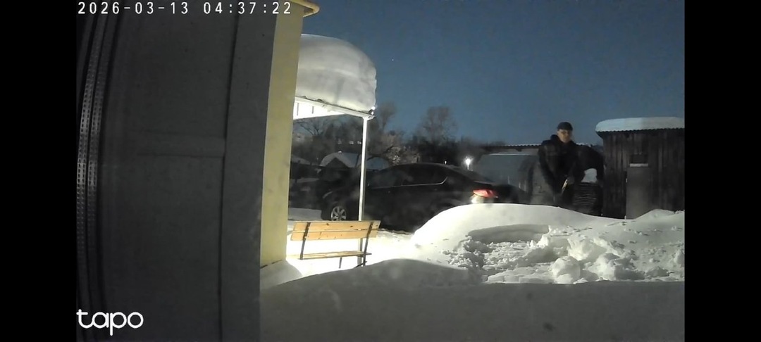 Живодер попал на видео в момент похищения кота в Кирове