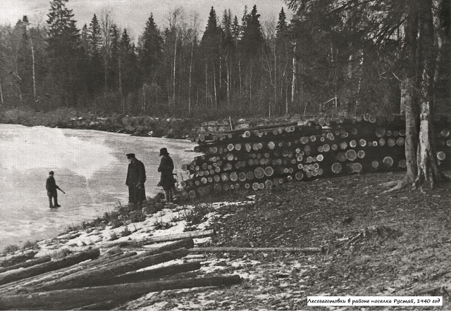 Лесозаготовка в районе пос. Рустай, 1940 год. Архивное фото.