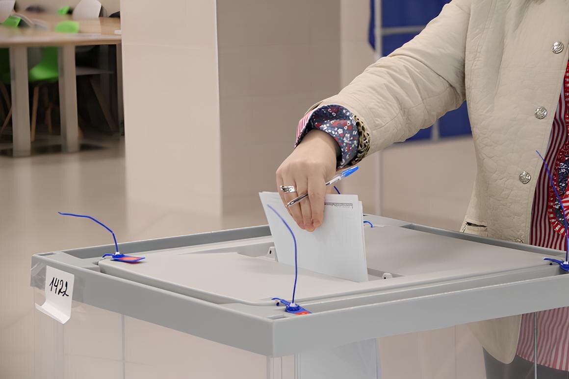 Изображение с сайта novosibirsk.izbirkom.ru
