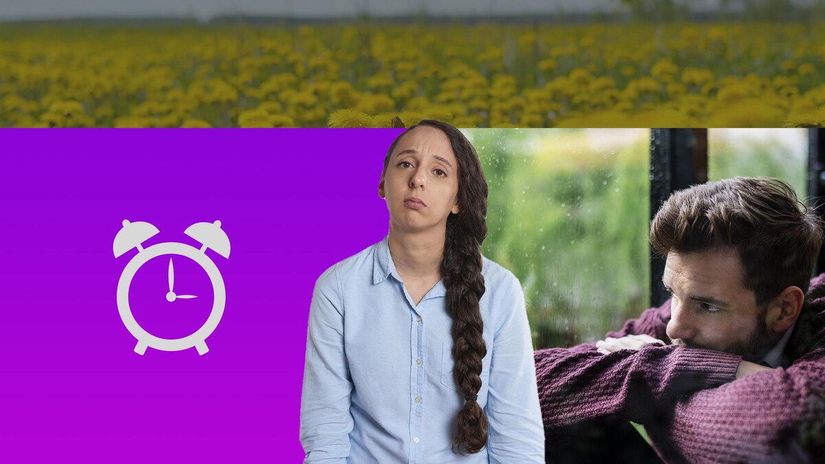 Коллаж 78.ru: pixabay.com, freepik.com, pngwing.com