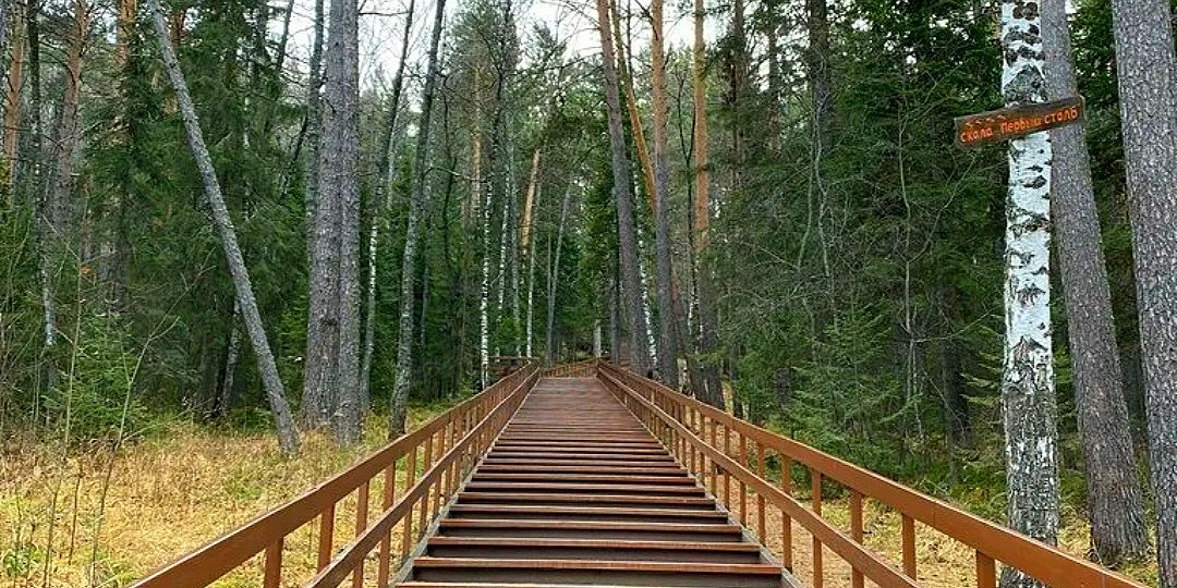 Красноярские столбы: Чем опасен поход в одиночку в зону риска? Что рекомендуют опытные столбисты, чтобы остаться в живых.