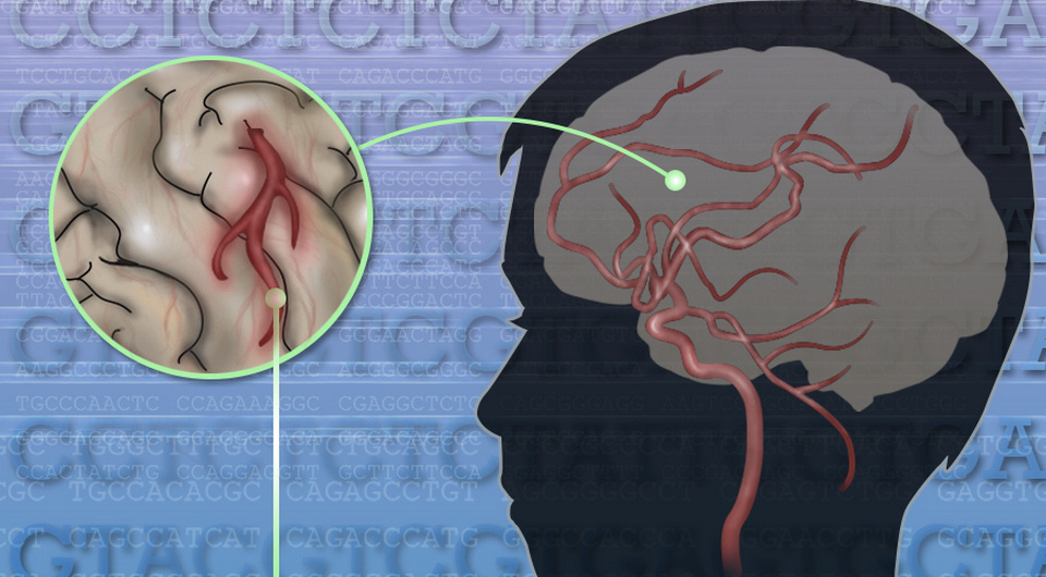   National Human Genome Research Institute (NHGRI) / Flickr / Public domain