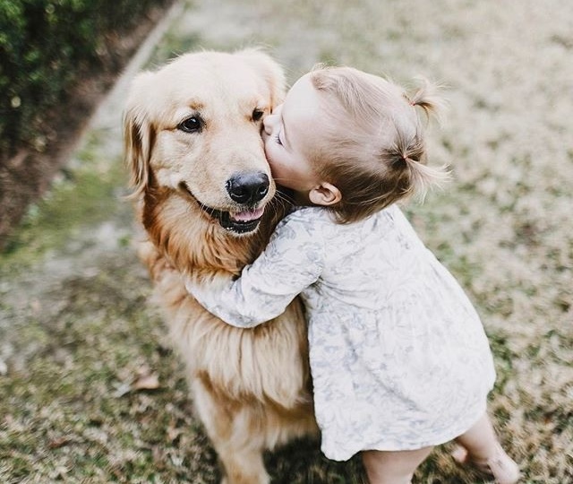 Как животные формируют доброту у детей: глубинные связи