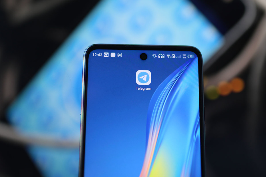    Александра Погиба/NEWS.ru