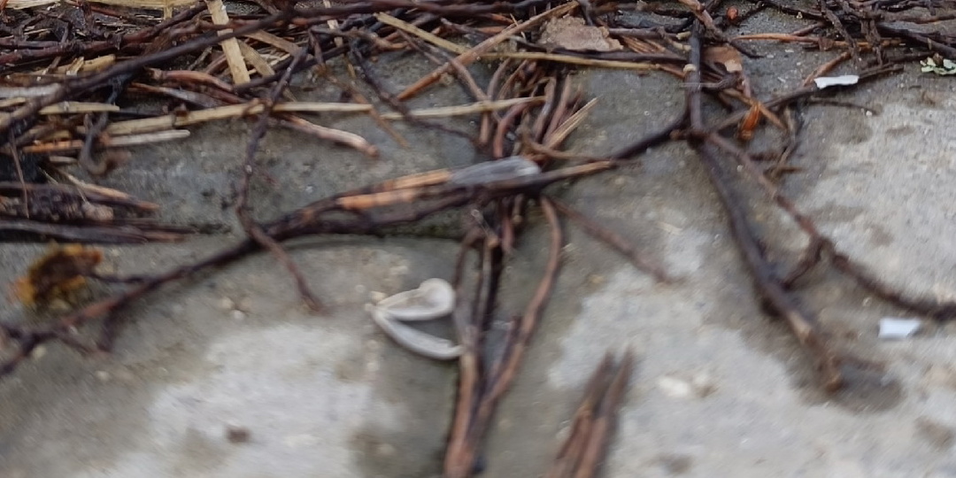 Наш незабываемый февраль