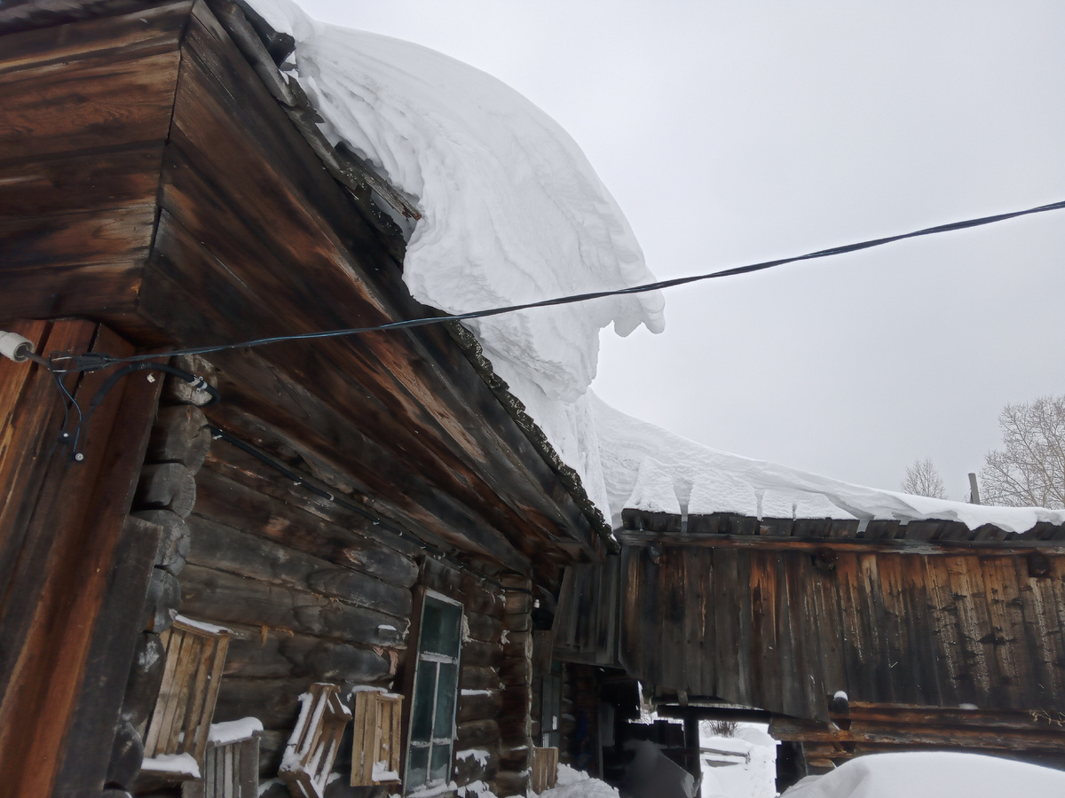 Вчерашняя метель нам добавила снега, там я не хожу— "снег башка попадет, совсем мертвый будешь!"
