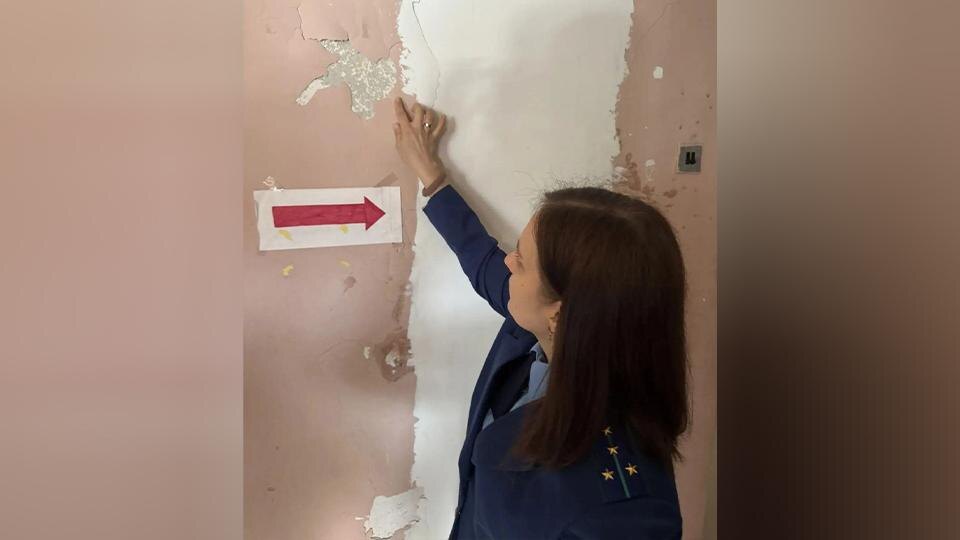    Фото: t.me/prok_lenobl