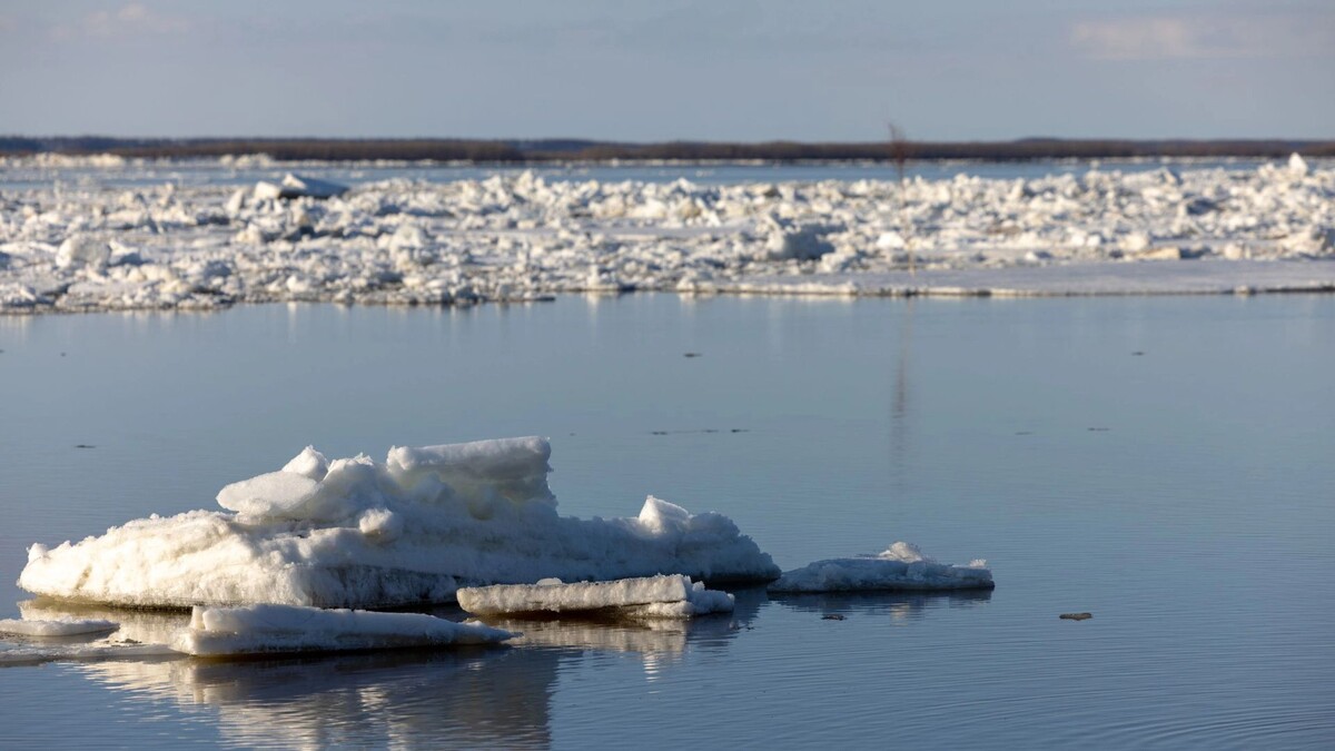    Фото: Сергей Зубков/«Ямал-Медиа»