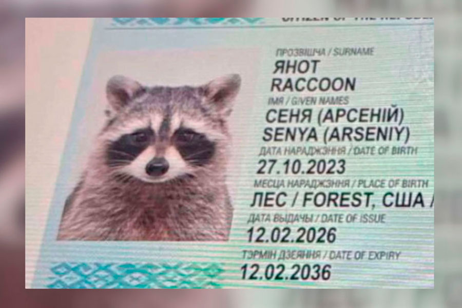    Скриншот: СТВ