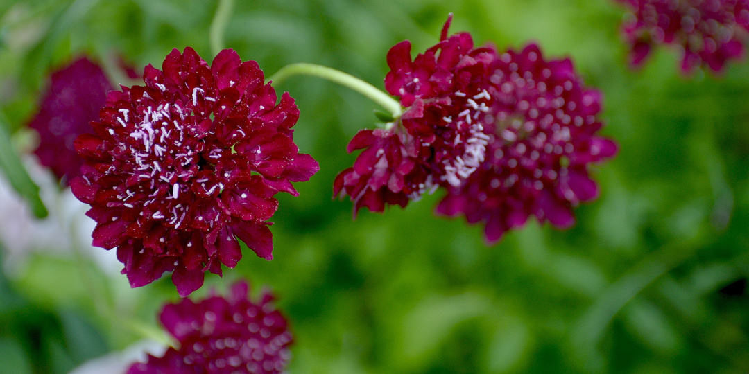 Посевная-2026: мой очередной ликбез