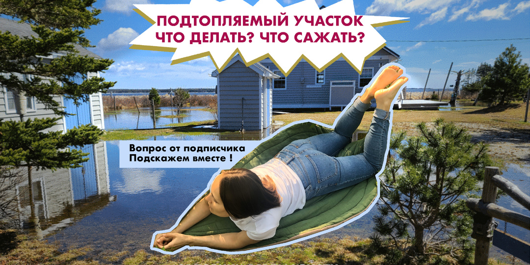 Подтопляемый участок. Что делать? Что сажать?