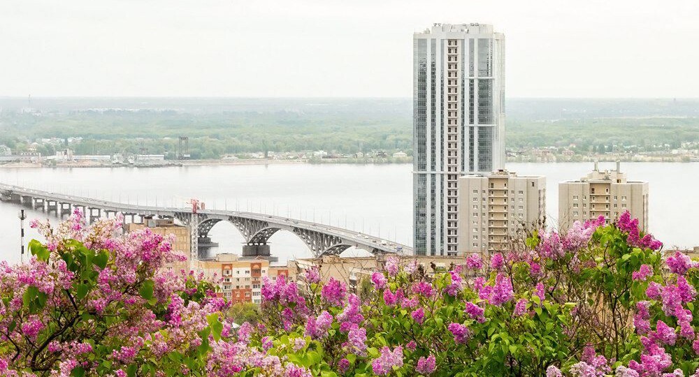 Почему Саратов прославился как "город сиреневых садов?