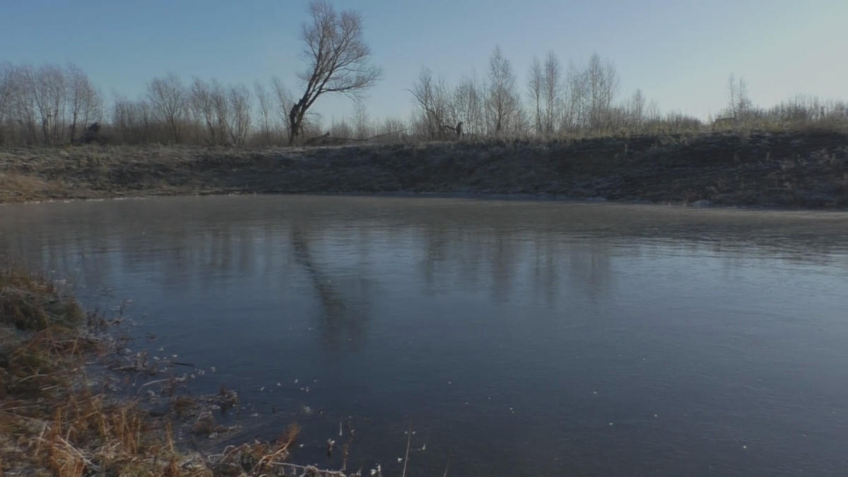 К зиме Школьный пруд так и не наполнился