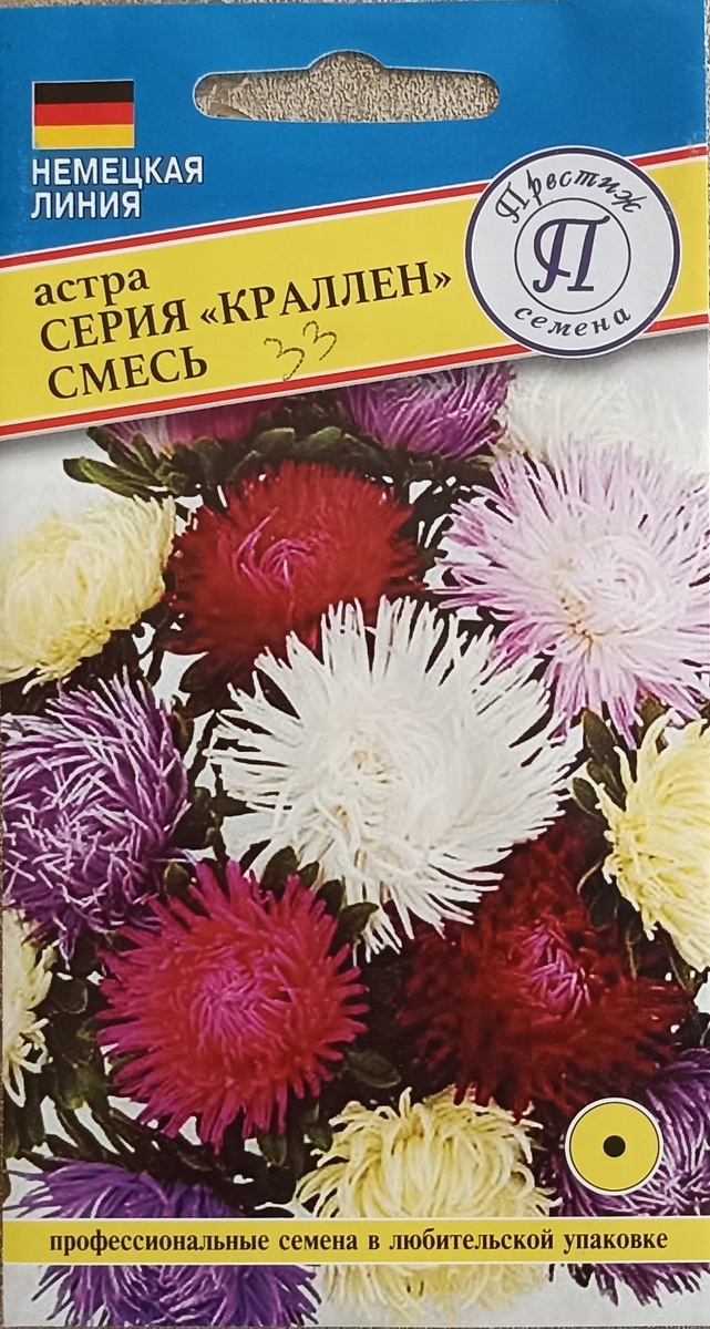 Астра ,, Краллен. ,, Фото автора.