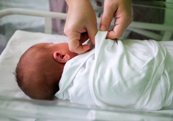 Фото: Кирилл Брага/РИА Новости
