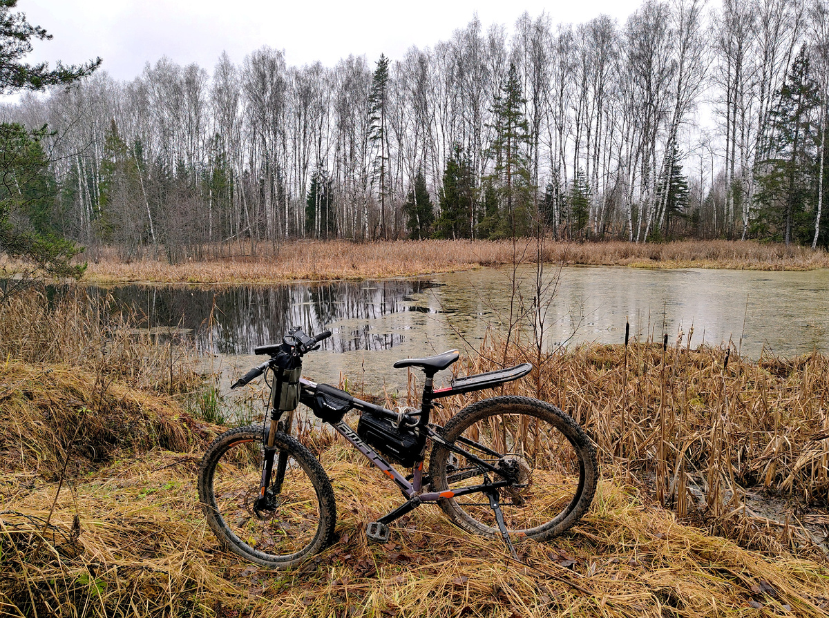 На берегу реки Черник