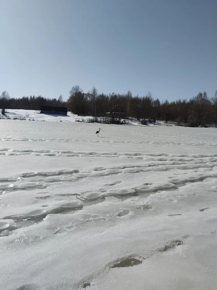     Фото: Юрий Галченков/ВК