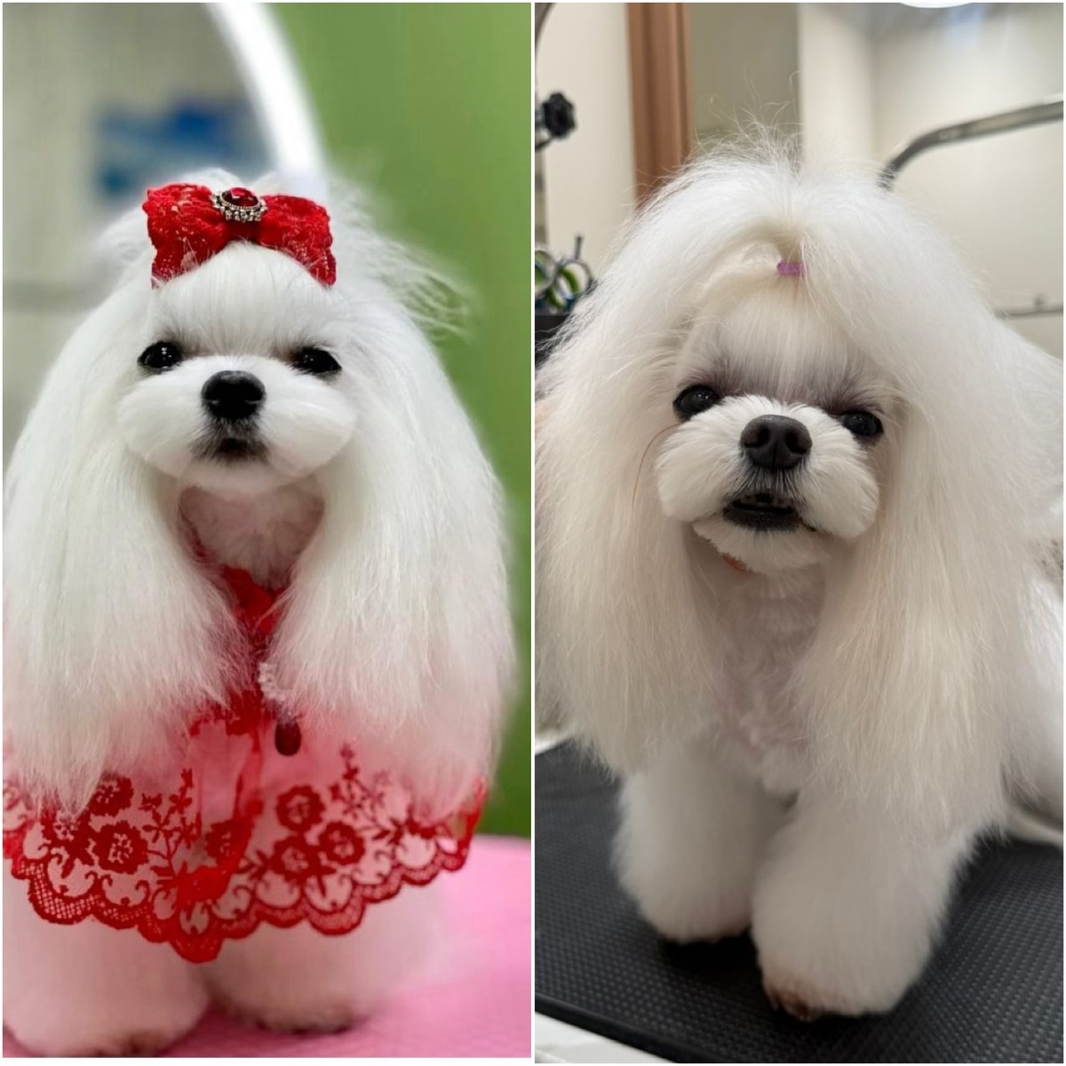 Слева моя работа. Справа мастера 