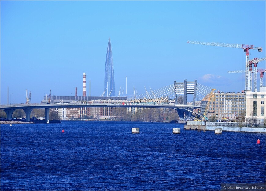 © Елена Сариева