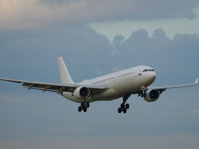    Фото: Агентство "Москва"/Пелагия Тихонова