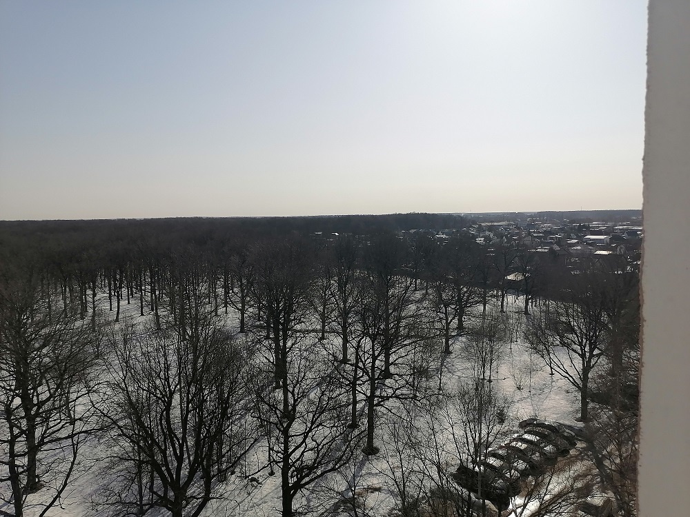 СНТ, в котором находится дача родителей мужа, видно из наших окон. До их дачи около 10 минут пешком.