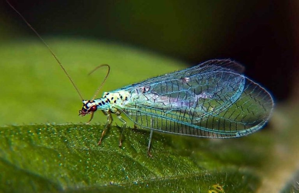 Фото: Уральское межрегиональное управление Россельхознадзора  📷
