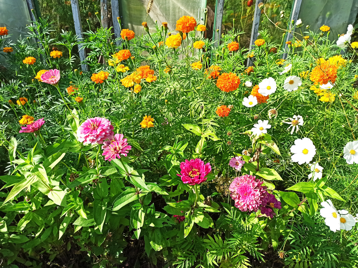 Фото автора. 