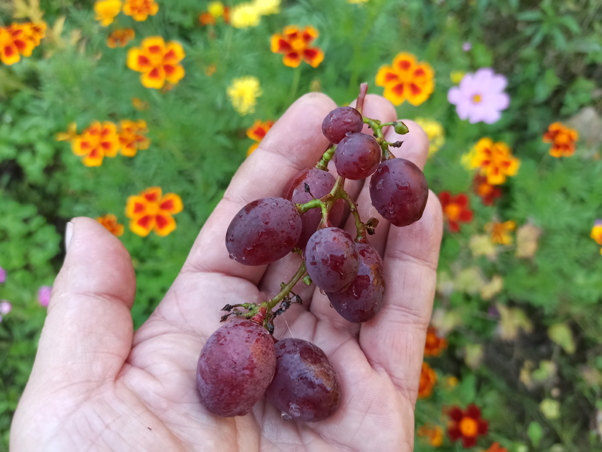 Фото автора. 