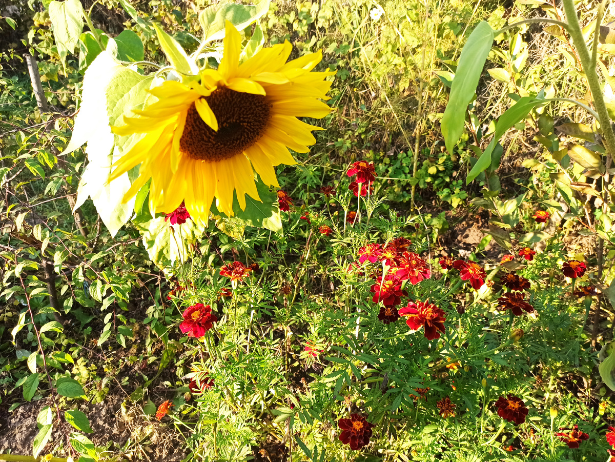 Фото автора. 