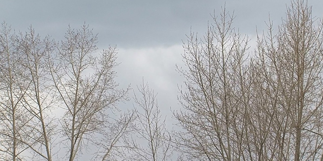 Погода в Братске 17 марта