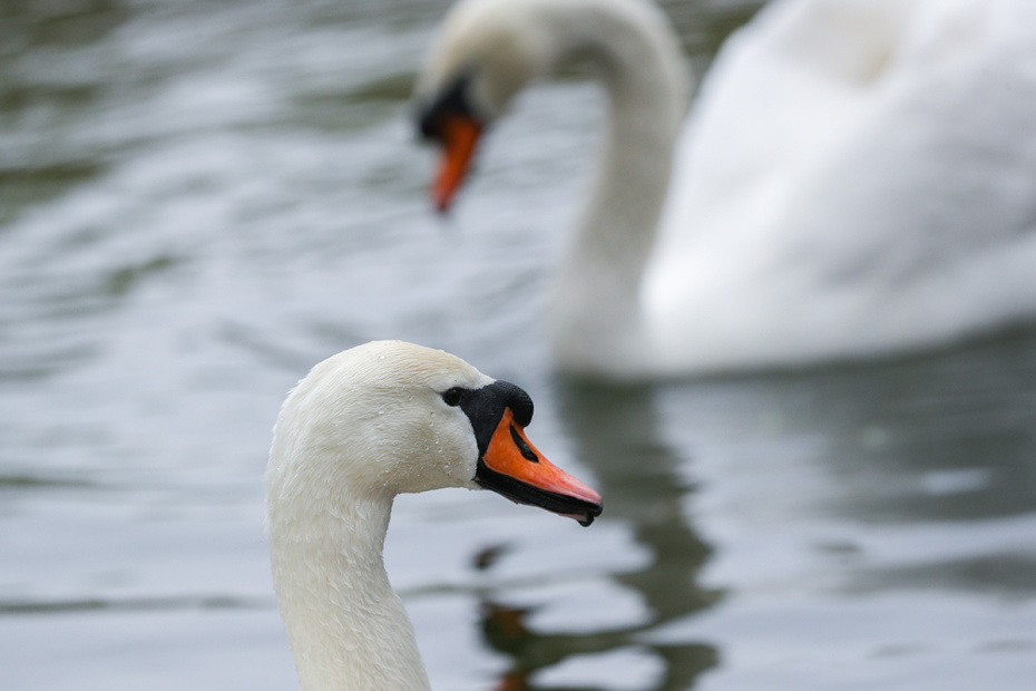    Алексей Белкин/NEWS.ru