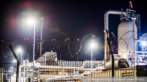     Фото: Lino Mirgeler/dpa/Global Look Press   
 Текст: Мария Иванова