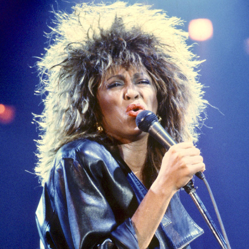    Тина Тернер / eg.ru