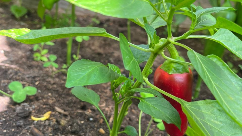    фото smilekaluga.ru