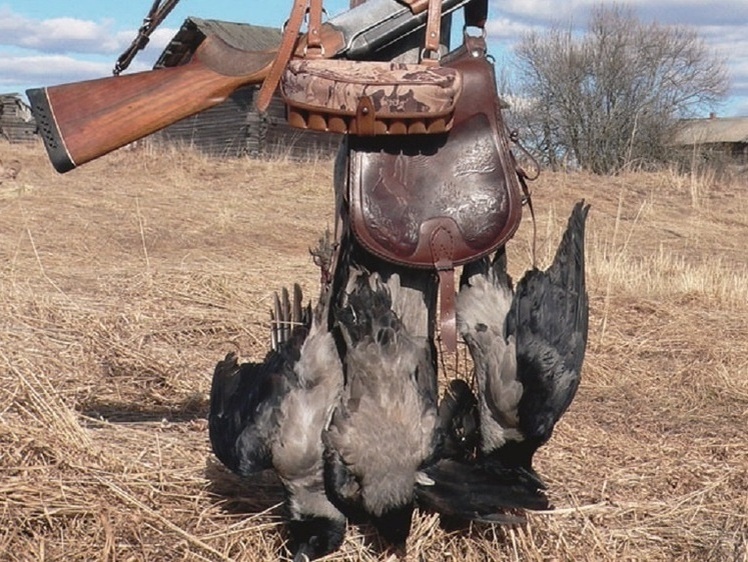     Фото Светланы Бурковской