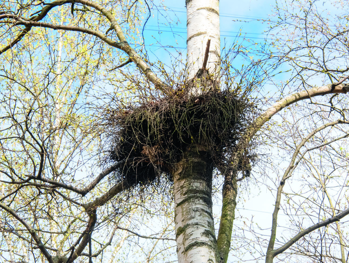     Фото Виталия Трофимова-Трофимова