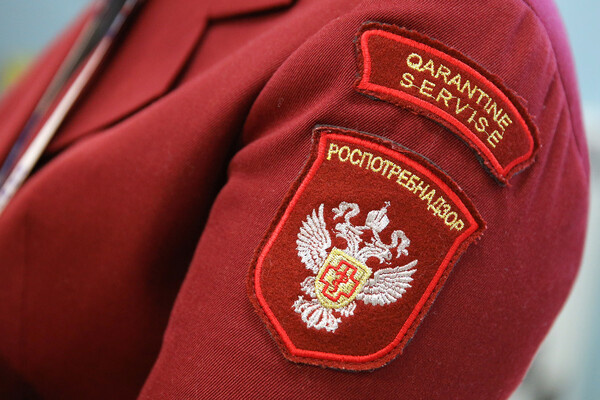 Виталий Тимкив/РИА Новости   📷