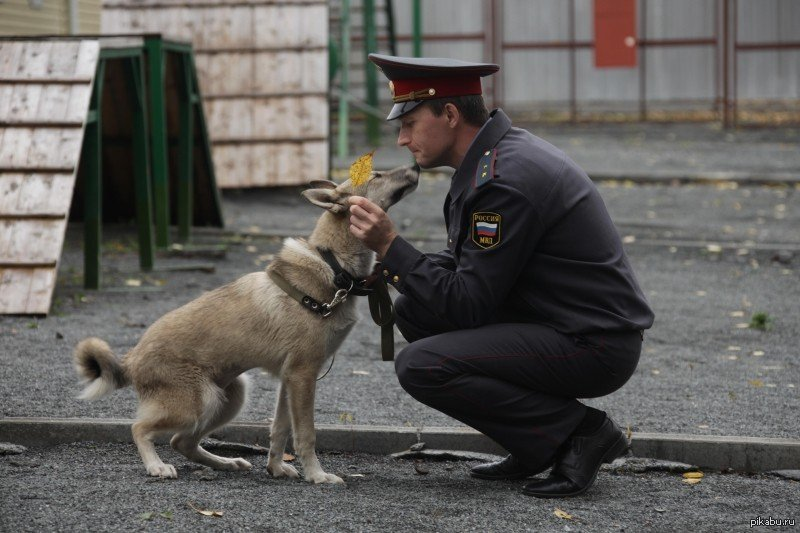 фото из открытых источников