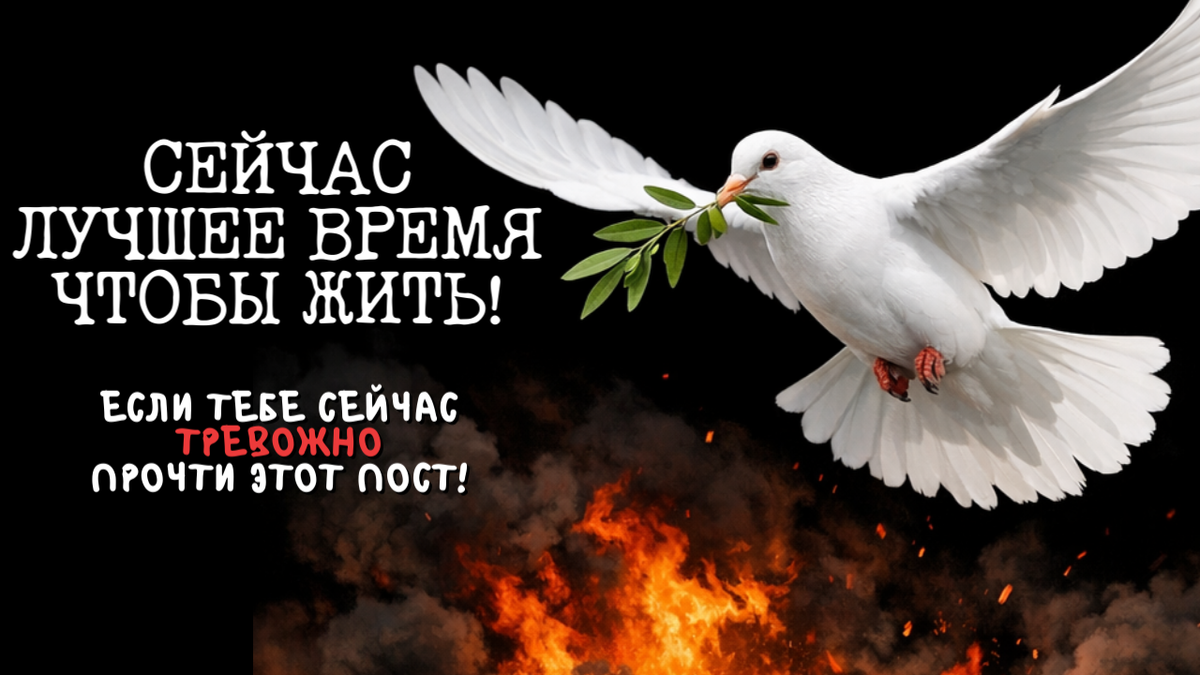 Лучшее время, чтобы жить! | Алхимия Психологии