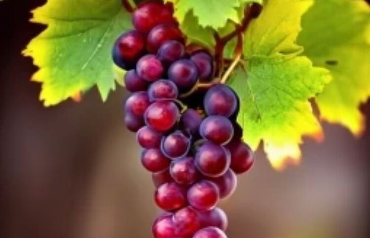    Фото: Медведева Анна, AgroXXI.ru