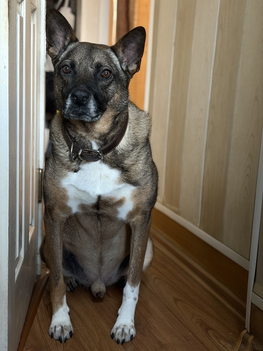 Наш Степаша, СтЕпичка.