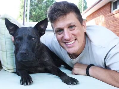    ChatGPT помог найти эффективное средство от рака